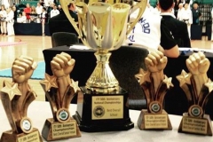 1044128_10153354872045925_6239151888765361936_n