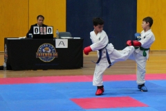 10553326_10154104100213010_7738971790620878298_n