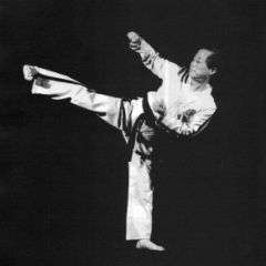 General Choi Hong Hi 7