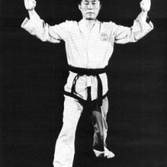 General Choi Hong Hi 10