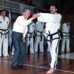 General Choi Hong Hi 47