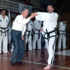 General Choi Hong Hi 14 General Choi Hong Hi 14