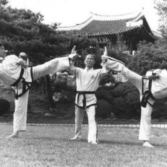 Gen-Choi-3 Gen-Choi-3