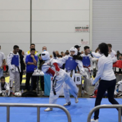 53034495_10156667406484760_4362349315625058304_n