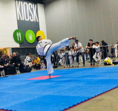 Arnold classic taekwondo 20