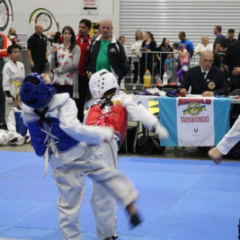 Arnold classic taekwondo 45