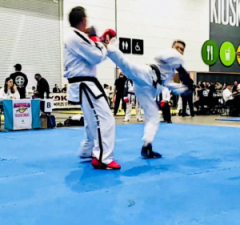 Arnold classic taekwondo 16