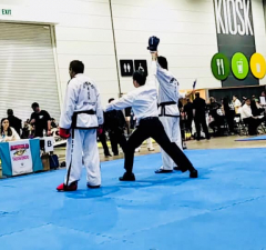 Arnold classic taekwondo 14