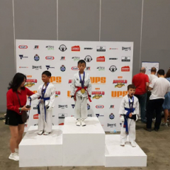 Arnold classic taekwondo 37