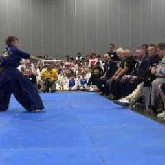 Arnold classic taekwondo 2
