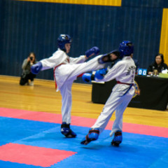 Global-TKD-champs-2024-175