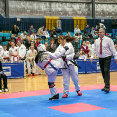 Global-TKD-champs-2024-22