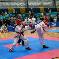 Global-TKD-champs-2024-88