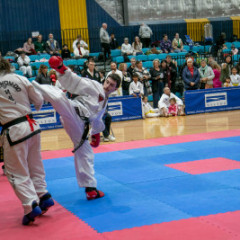 Global-TKD-champs-2024-94