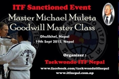 Master Michael Muleta ITF Taekwondo 66