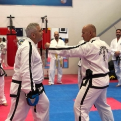 Michael Muleta grandmaster trevor nicholls ITF seminar