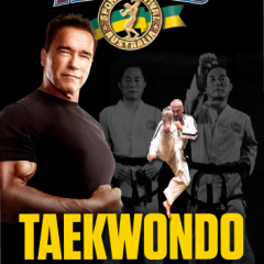 Master Michael Muleta ITF Taekwondo 96