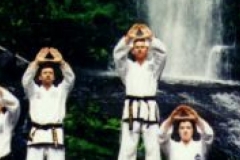 Master Michael Muleta ITF Taekwondo 70