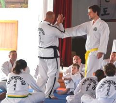 Master Michael Muleta ITF Taekwondo 92