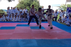 12038396_510244542475013_1835008162977433172_n