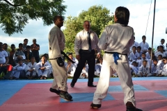 12039455_10153047879440925_6382751915473504379_n