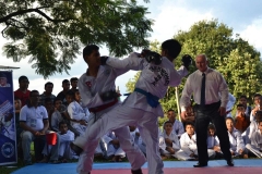 12039607_10153047878550925_7639010593431585100_n