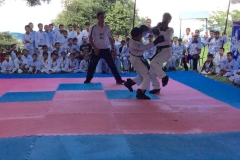 12042727_510244525808348_1497331611250376680_n