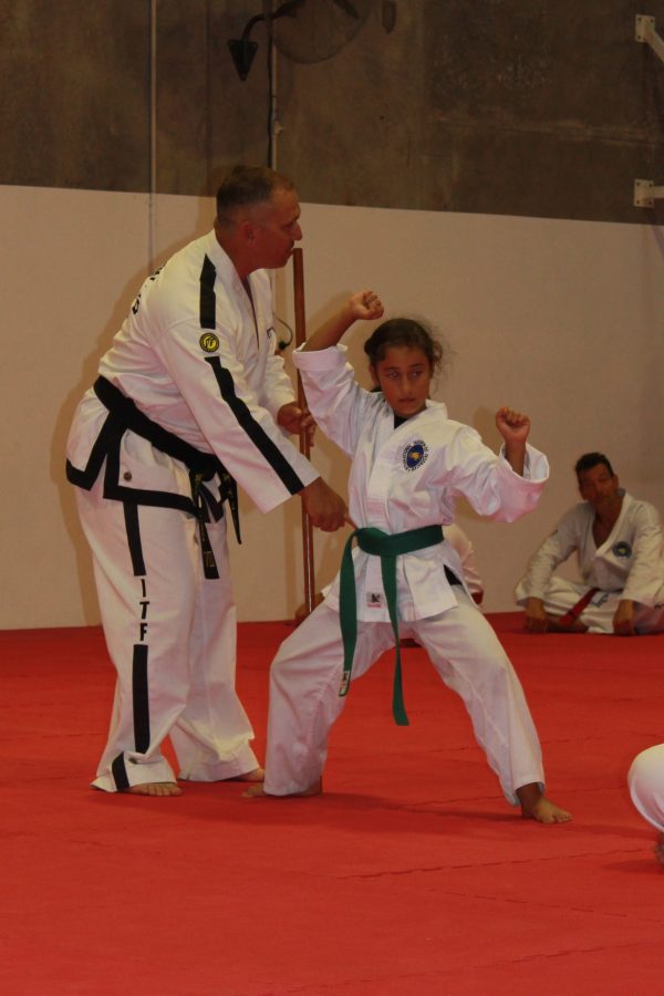 Taekwondo Patterns PT - Image 5