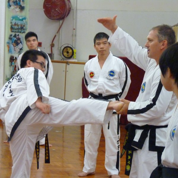 Book Taekwondo Patterns Personal Training With A Trainer Of Champions Stunning Taekwondo Patterns Book Taekwondo Patterns Personal Training With A Trainer Of Champions Stunning Taekwondo Patterns
