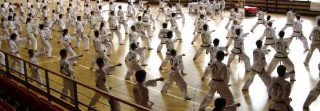 tenets of taekwondo essay